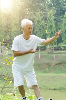 Portrait of healthy grey hair Asian old man practice wushu at outdoor park in morning.