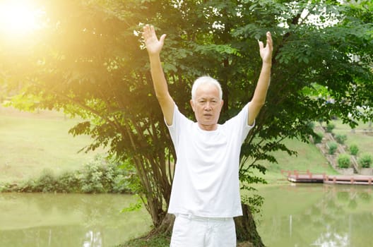 Portrait of healthy fitness grey hair Asian senior man practicing tai chi at outdoor park in morning.