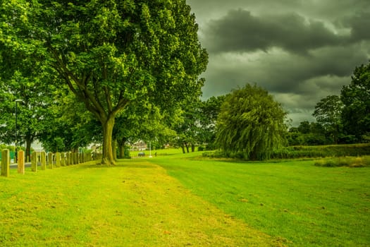 beauiful park landscape with cloudy sky