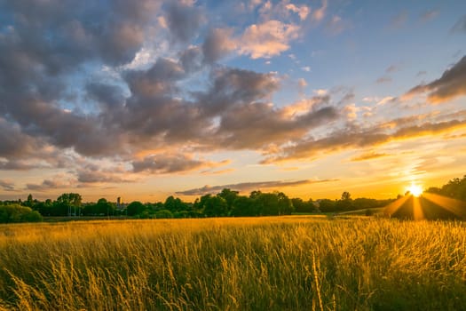 sunset in wyken croft park, coventry, UK