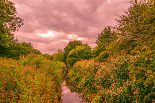 beauiful park landscape with cloudy sky