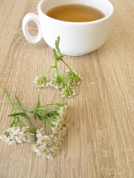 Herbal tea with yarrow
