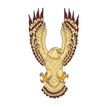 Drawing sketch style illustration of an osprey (Pandion haliaetus) also called sea hawk, river hawk, and fish hawk, a diurnal, fish-eating bird of prey  in swooping motion viewed from front on isolated background.