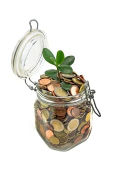 Saving coins in mason jar - concept,growth by saving