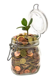 Saving coins in mason jar - concept,growth by saving