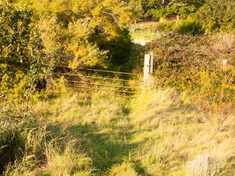 sunset light over a country grass land path scene with rusty old gate to farm in distance  England  Essex