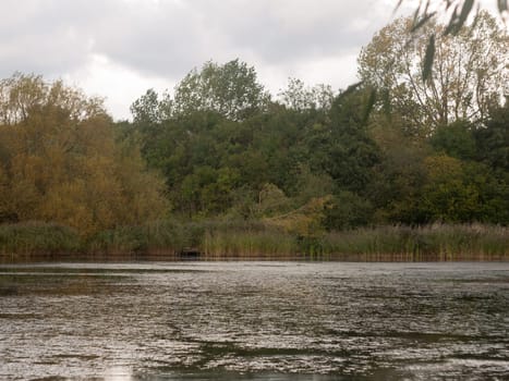 lake top surface scene outside autumn dark overcast