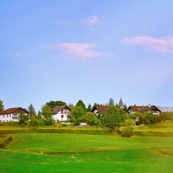 Houses of Small Town in Slovenia