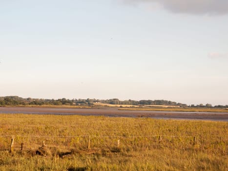 empty country coastal scene with river and clear sky  England  Essex