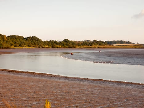 river country scene landscape with wader birds tide out and mud flats  England  Essex