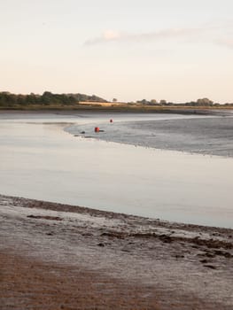 river country scene landscape with wader birds tide out and mud flats  England  Essex