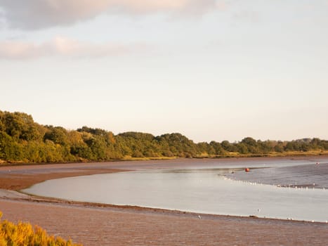 river country scene landscape with wader birds tide out and mud flats  England  Essex