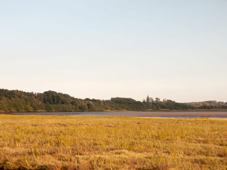 empty flat country scene outside grass trees and no people  England  Essex