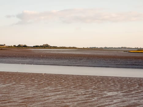 landscape of mud flats in essex with river tide out no people wader birds  England  Essex