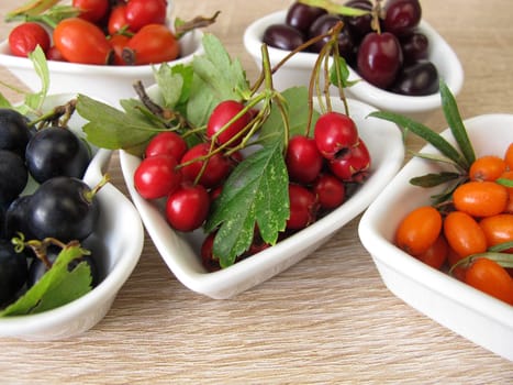 Wild fruits in autumn with cornelian cherries,sea buckthorn,rose hips,sloes and hawthorn