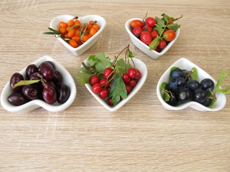 Wild fruits in autumn with cornelian cherries,sea buckthorn,rose hips,sloes and hawthorn