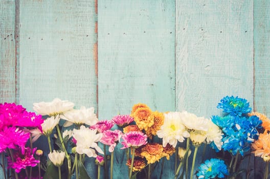 Colorful flowers on blue wooden background. Festive greeting card top with copy space, flat lay. Vintage tone filter.