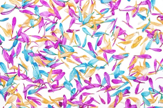 Colorful flowers pattern on white background. Festive greeting card, flat lay.