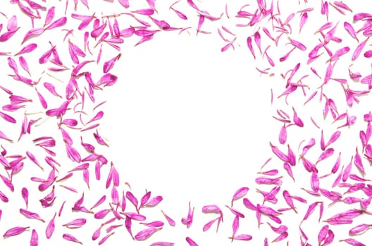 Creative minimal flower background. Pink flowers frame on white background. Festive greeting card top with copy space, flat lay.