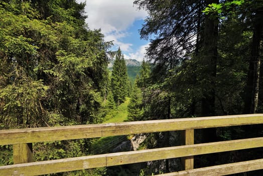 Bridge in the Tyrolean Alps
