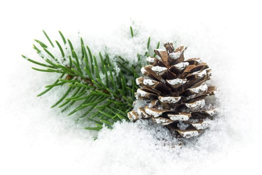 Pine cones in the snow,Christmas decorations in winter