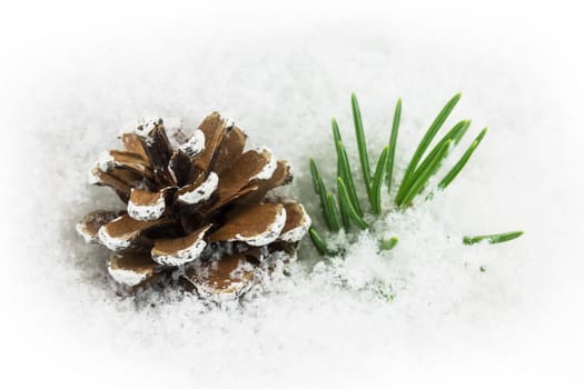 Pine cones in the snow,Christmas decorations in winter