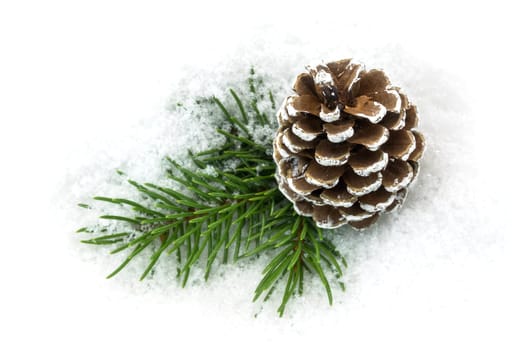 Pine cones in the snow,Christmas decorations in winter