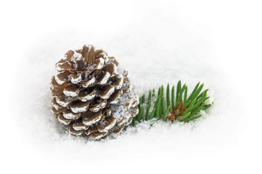 Pine cones in the snow,Christmas decorations in winter
