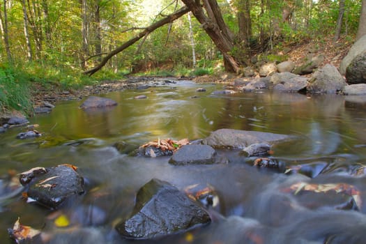 fresh water creek flowing river landscape environment