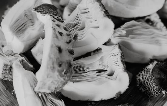 pieces of umbrella macrolepiota procera mushroom,ready to dry,black and white