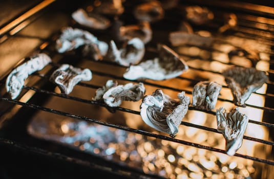 pieces of parasol mushroom macrolepiota procera in dry machine