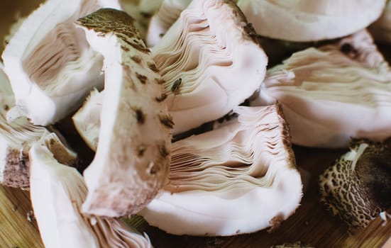 pieces of umbrella mushroom macrolepiota procera,ready to dry of