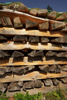 Piles of wood on a meadow