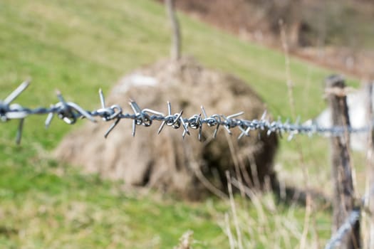 close-up the barbwire on the fence building. Blurred green background