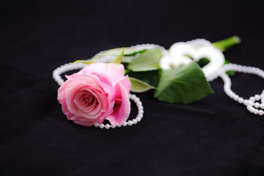 Romantic Rose