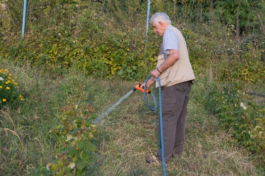 Senior man watering plants in his garden. Retired gardener watering the garden with hose. Happy older man gardening.