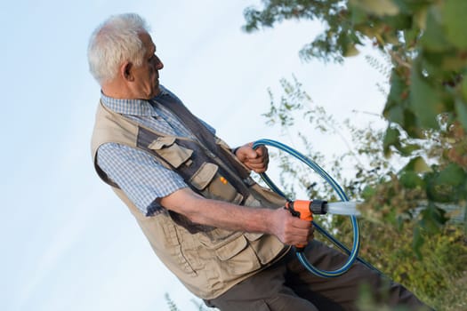 Senior man watering plants in his garden. Retired gardener watering the garden with hose. Happy older man gardening.