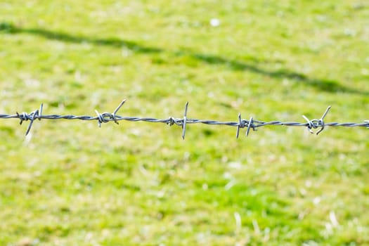 close-up the barbwire on the fence building. Blurred green background