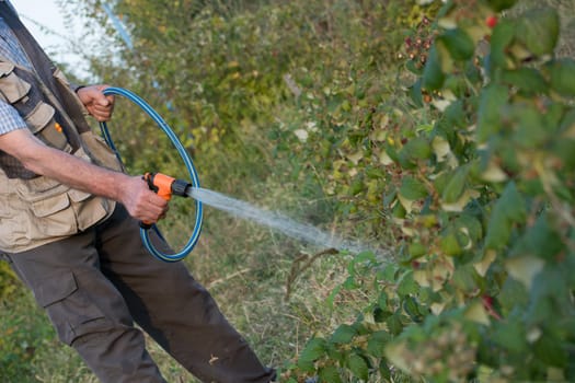 Senior man watering plants in his garden. Retired gardener watering the garden with hose. Happy older man gardening.