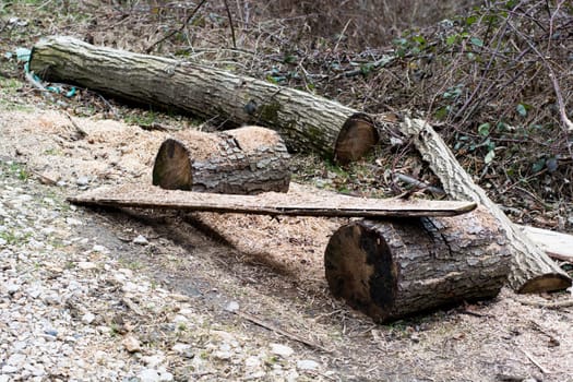 Rural chopping place with logs. Cold, early frosts, hoar concept