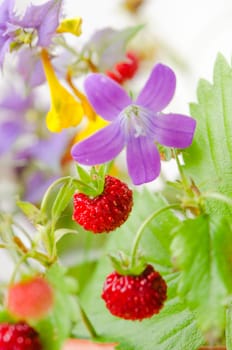 Summer bouquet of forest flowers and strawberries