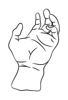 hand palm vector symbol icon design. Beautiful illustration isolated on white background.