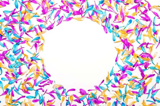 Creative minimal flower background. Colorful flowers frame on white background. Festive greeting card top with copy space, flat lay.