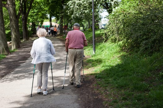 Powerful happy elderly people are walking with hiking sticks, canes, running early in the park Stockholm, Sweden