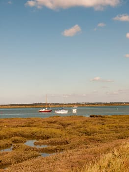 beautiful scene of river with boats grassland in front blue sky and clouds  essex  england  UK