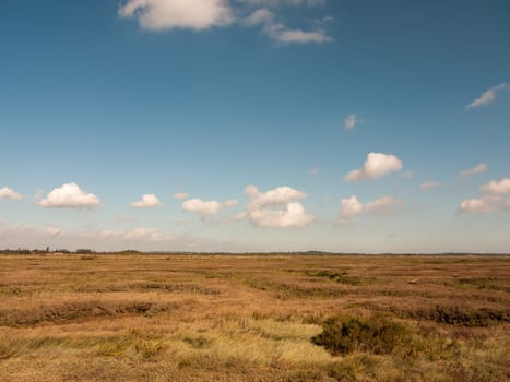open marshland landscape scene with blue skies, clouds, and grass  essex  england  UK