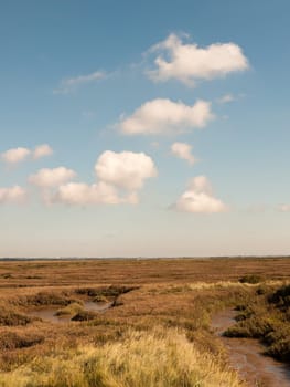 open marshland landscape scene with blue skies, clouds, and grass  essex  england  UK