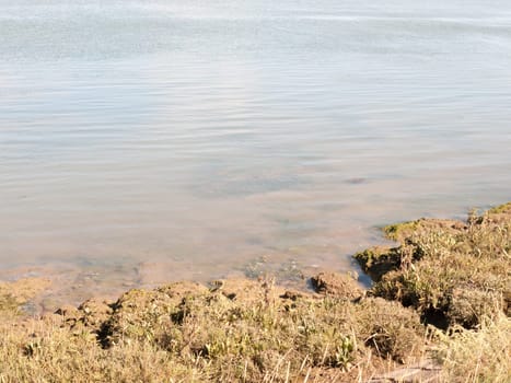 river edge tide coming up water moving landscape view  essex  england  UK