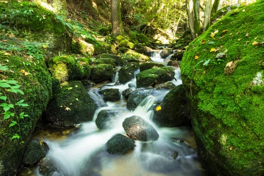 Mountain stream in the forest,running water with moss-covered stones