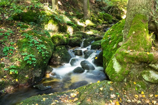 Mountain stream in the forest,running water with moss-covered stones
